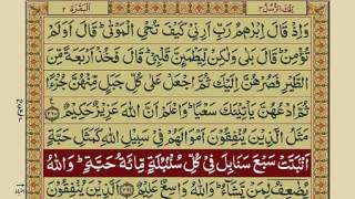 Quran Para 3 with Urdu Translation  Recitation : M
