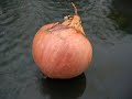 the-knowhow.html