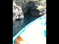 video1.mov Video