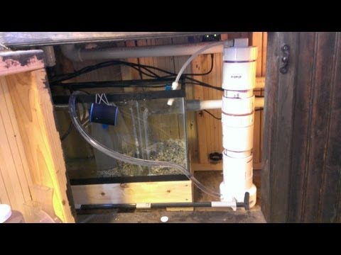 how to eliminate nitrates in aquarium