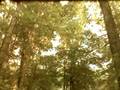 videos de 