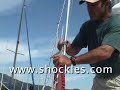 MiniShockles on a Sailboat