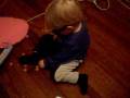 videos de my goofy little boy