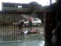 videos de Marcelo Phelps