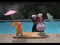 31 minutos (hermanos guarenes)-TANGANANICA, TANGANANA