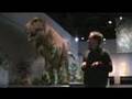 Velociman's Dino Field Trip