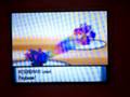 videos de pokemon pearl gym battle 2 Gardenia