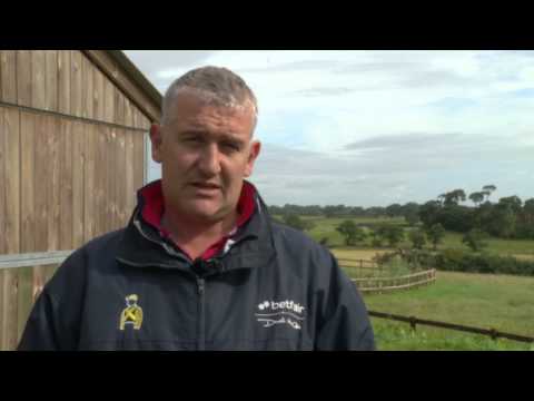 horses grand national