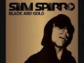 Black & Gold (remix) - Sam Sparro