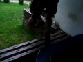 Parkour Team Konczyce na wyjezdzie