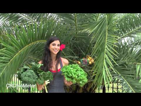 www.rawfullyorganic.com - Kristina Carrillo-Bucaram of Rawfully Organic (www.rawfullyorganic.com) and FullyRaw (www.fullyraw.com) answers where protein comes from when eating a Raw Fo...