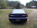 Z28 Nitrous Purge