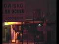 WWO-tak to wygląda