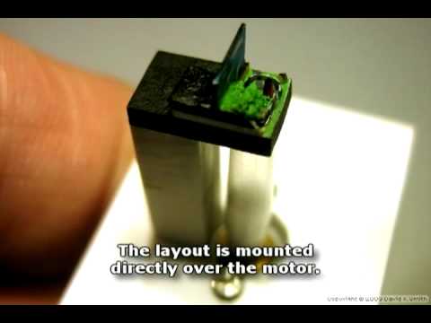 tiny model