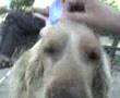MOV00001 (MOV00001.3gp)