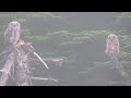 Gosses Pond in Torbay Owls