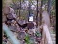 long distance air rifle shooting