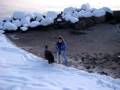 2008-12-30 | Copper in the snow Gordon Setter ~> Snowball addiction ... (03:00)