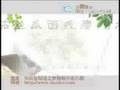 广告成片