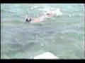 Belize Part 3 Ambergris Cayes