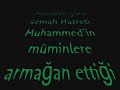 alevilik alevilik