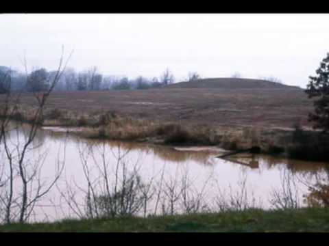 how to fertilize pond