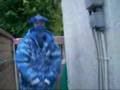 REAL CRIP TALKS ABOUT LIL WAYNE FAKE BLOOD