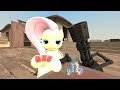 Pony vs. Machine