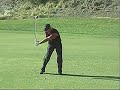 Swing Vision Tiger Woods \ Swing Vision Tiger Woods \