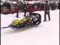 Iditarod Restart