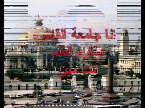 صورسكس مصر