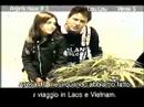 green house seed co  arjans haze#3 grow w/italian subtitles