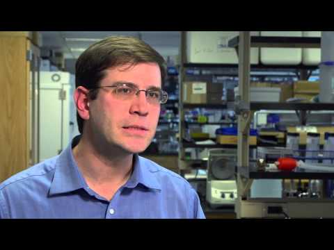 how to define human life