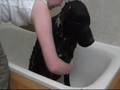 scrub a dub