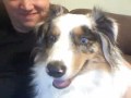 I try to get Pippin to react to her video image, but she remains unfazed