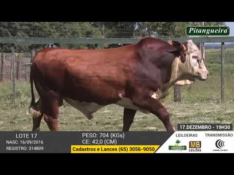 LEILO E DE OLHO NA FAZENDA GRUPO PITANGUEIRA