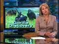 Gorilla Enclave Found In Congo
