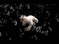 videos de Realistic Polar Bear 2.0