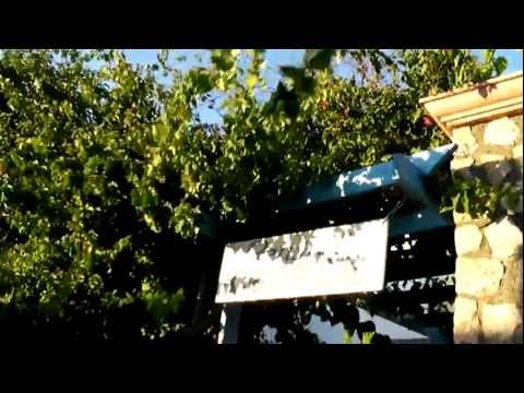 Vídeo de Pension George