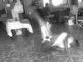 videos de HUESO ROTO