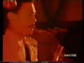 Folle Citt� (Live - 1981 - with Platinum Hook)