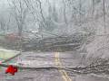 Ice Storm Freezes New England