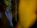 videos de fatboy slim space ibiza 08 pt 2