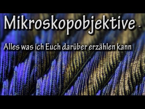 Mikroskopobjektive - Alles was ich Euch darüber erzählen kann