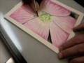 watercolor pencils
