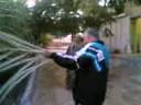 Sameh(271)