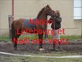 Lamotte 2008 - Les engag�es de l\