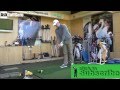 Cobra Golf AMP Cell Pro Driver