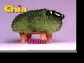 Ch-Ch-Ch-Chia! Ch-Ch-Ch-Chia!