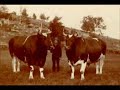 John Dray in the Morvan - Part 2